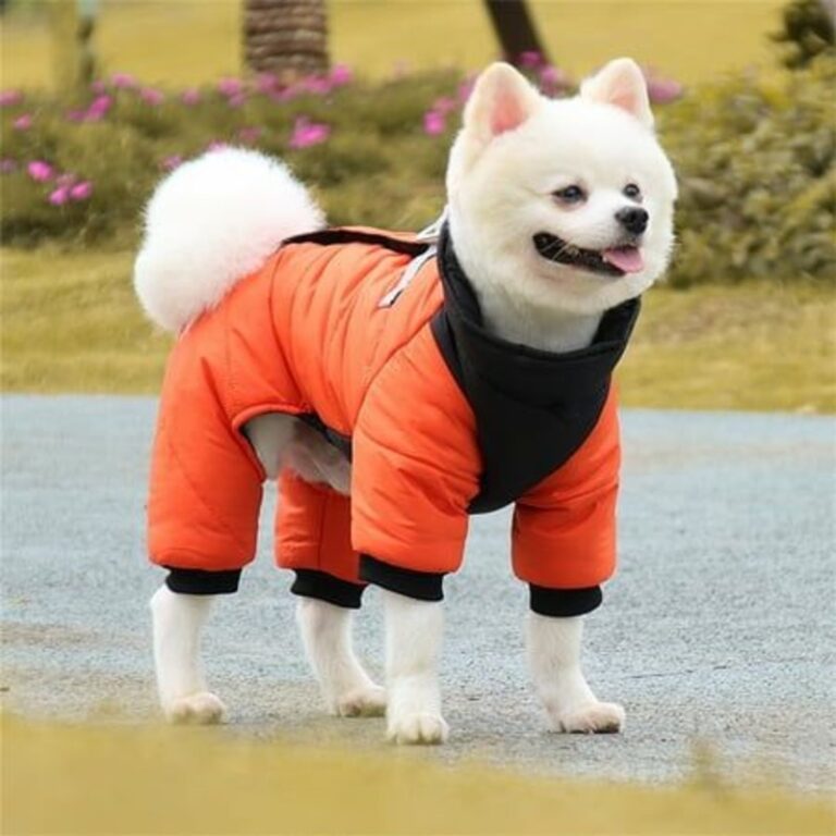 Dog life jackets