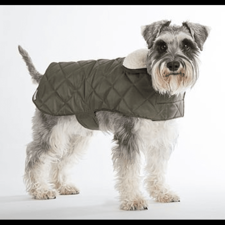 Waterproof dog jackets