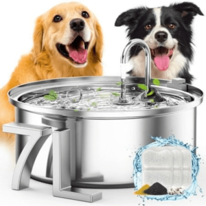 Dog Water Fountains