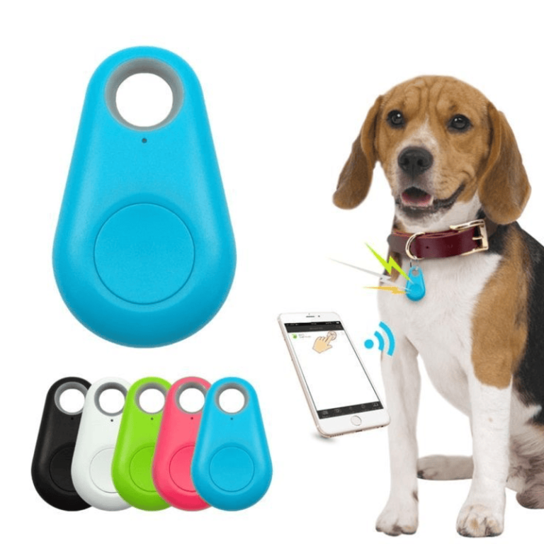 Dog Activity Trackers