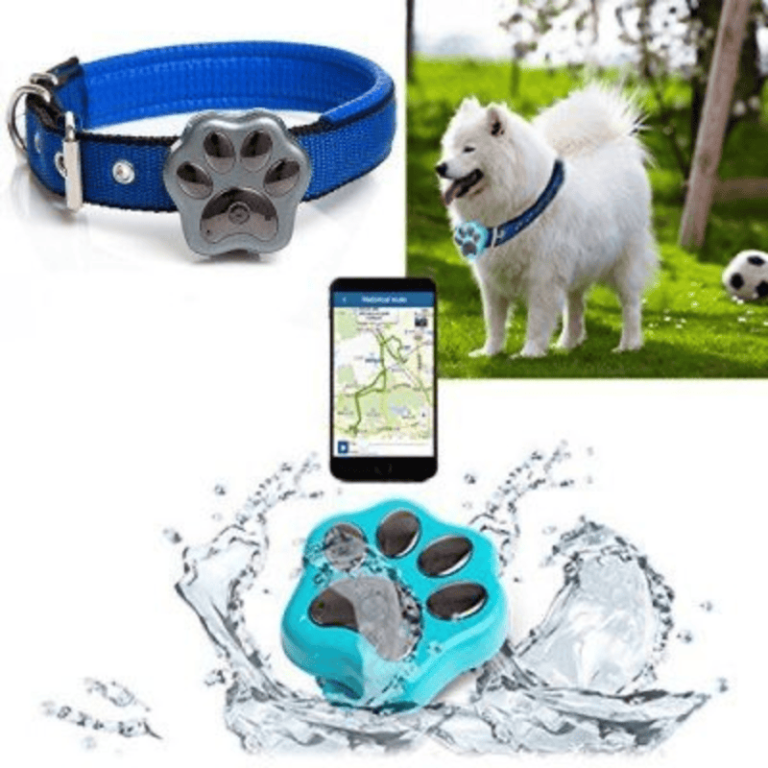 Dog Activity Trackers