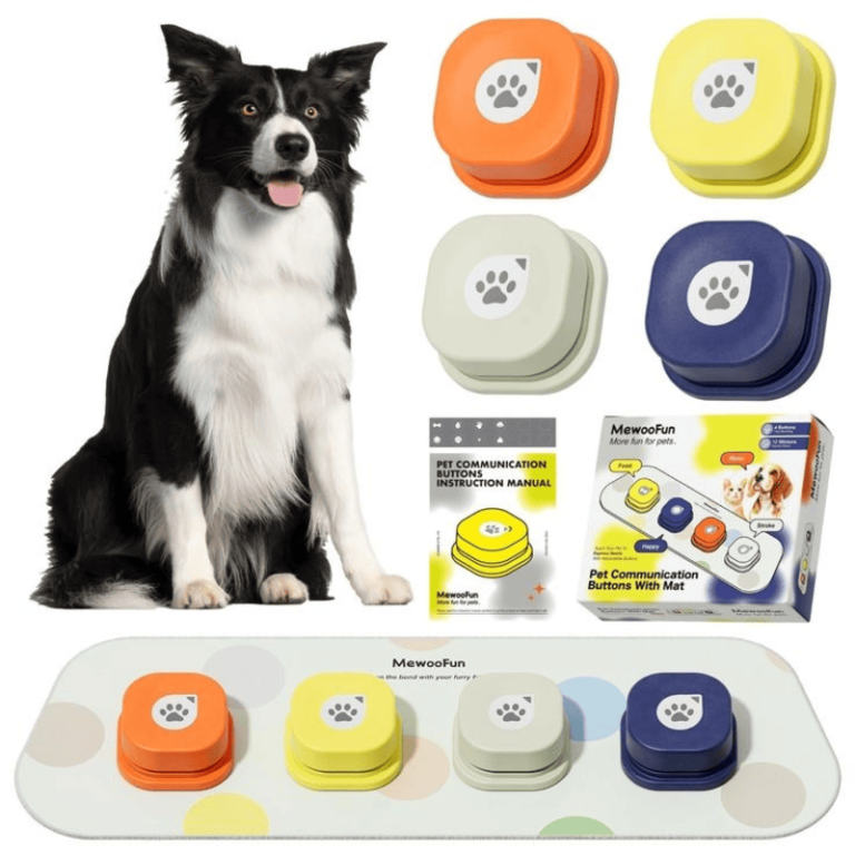 Pet Voice Recorders