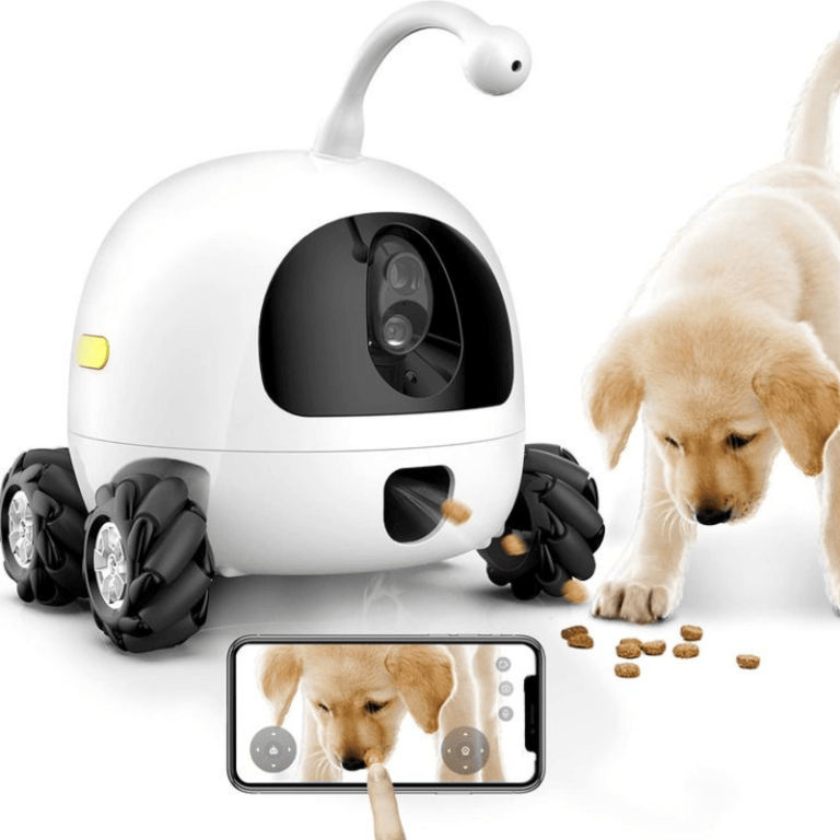 Dog Camera Monitors