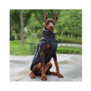 Cooling vests for dogs