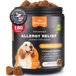 Allergy Relief for Dogs