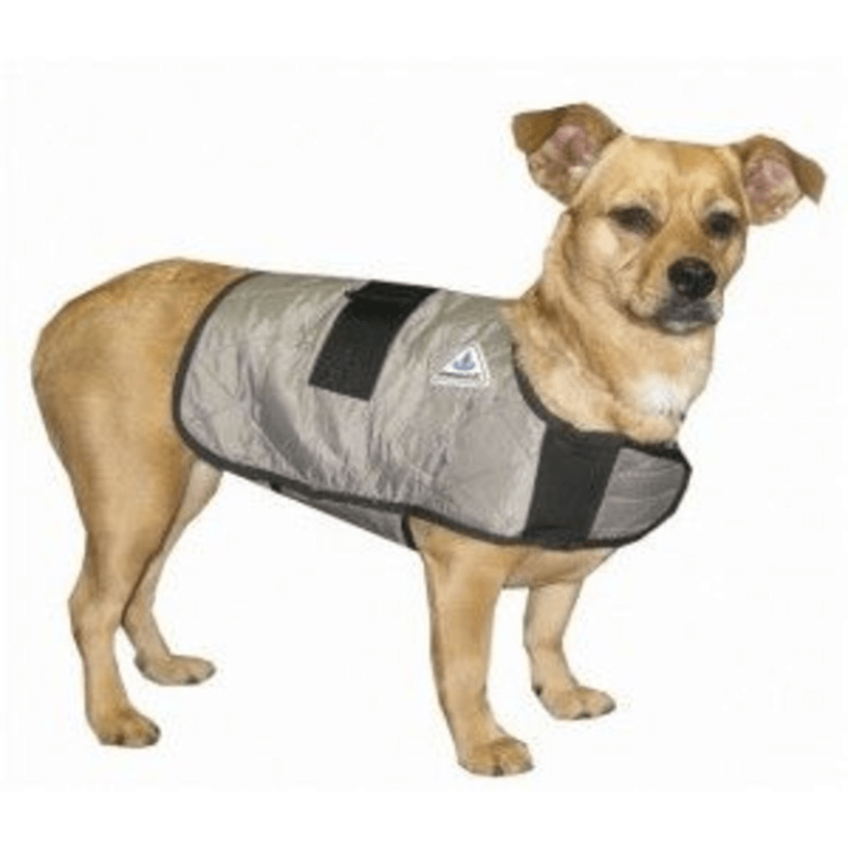 Cooling vests for dogs